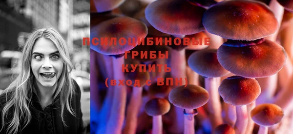 твердый Лиски