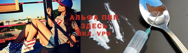 дурь Краснослободск