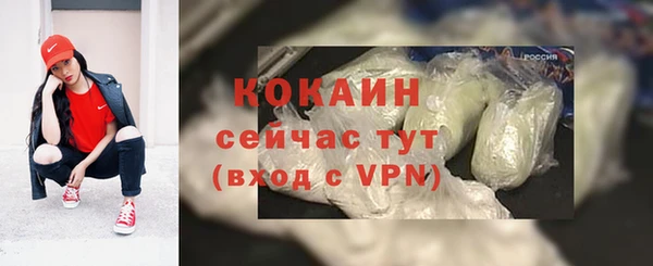 винт Липки