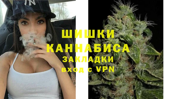 винт Липки